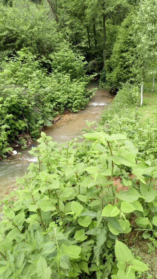 Cottage Forest Stream Visoko Exterior photo