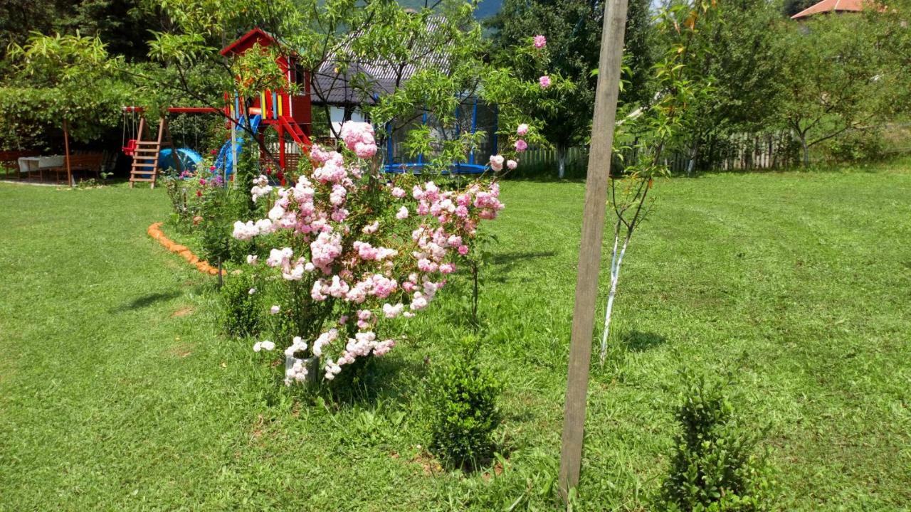 Cottage Forest Stream Visoko Exterior photo